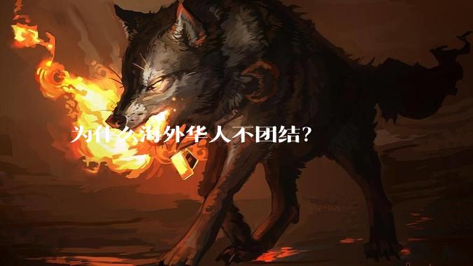 为什么海外华人不团结？